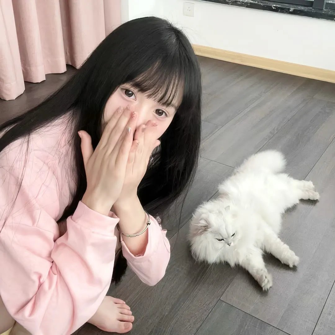 好莱坞狗日子